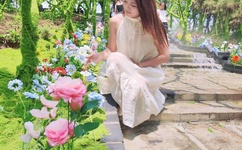 秋葵草莓樱桃榴莲大全